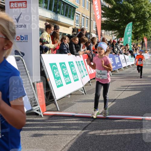 15.09.2024 - PSD Bank Halbmarathon Strokosch-Dieckow http://msf.ph/oto/7078013 15.09.2024 10:31:01 Ziel 44, 145, 147, 214, 234 meine-sportfotos.de