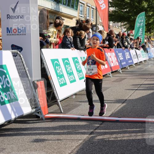 15.09.2024 - PSD Bank Halbmarathon Strokosch-Dieckow http://msf.ph/oto/7078068 15.09.2024 10:31:03 Ziel 38, 44, 145, 147, 214, 234 meine-sportfotos.de