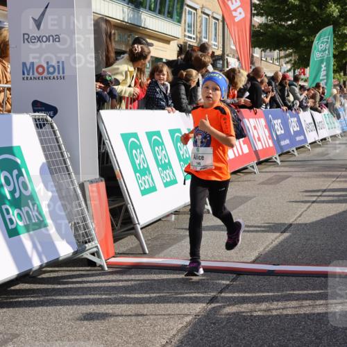 15.09.2024 - PSD Bank Halbmarathon Strokosch-Dieckow http://msf.ph/oto/7078084 15.09.2024 10:31:03 Ziel 38, 44, 145, 147, 214, 234 meine-sportfotos.de