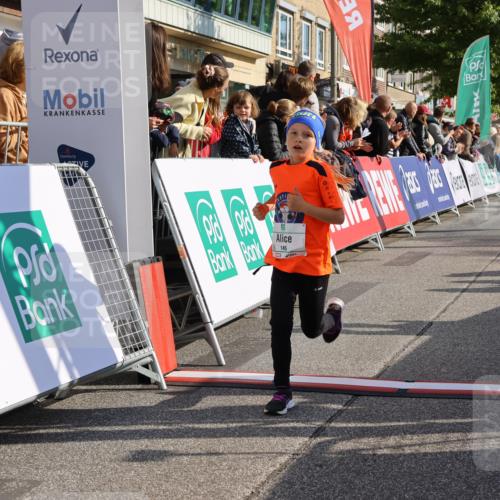 15.09.2024 - PSD Bank Halbmarathon Strokosch-Dieckow http://msf.ph/oto/7078099 15.09.2024 10:31:03 Ziel 38, 44, 145, 147, 214, 234 meine-sportfotos.de
