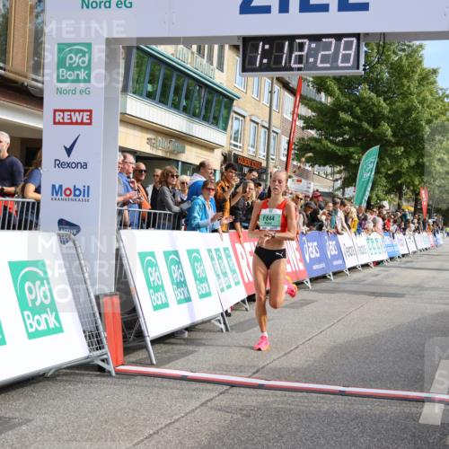 15.09.2024 - PSD Bank Halbmarathon Strokosch-Dieckow http://msf.ph/oto/7078116 15.09.2024 11:13:19 Ziel 517, 547, 844 meine-sportfotos.de