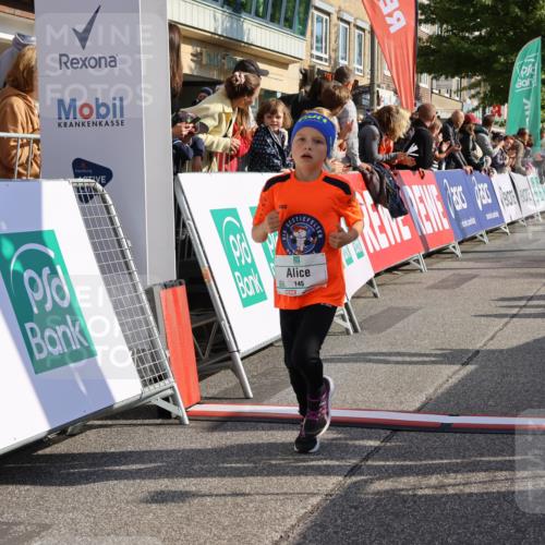 15.09.2024 - PSD Bank Halbmarathon Strokosch-Dieckow http://msf.ph/oto/7078128 15.09.2024 10:31:03 Ziel 38, 44, 145, 147, 214, 234 meine-sportfotos.de