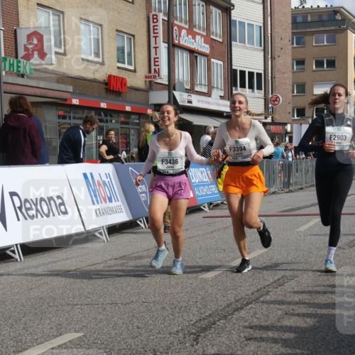 15.09.2024 - PSD Bank Halbmarathon Michael Strokosch http://msf.ph/oto/7078192 15.09.2024 12:19:44 Ziel 2025, 2903, 3394, 3436 meine-sportfotos.de
