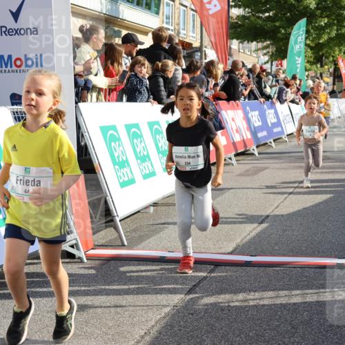 15.09.2024 - PSD Bank Halbmarathon Strokosch-Dieckow http://msf.ph/oto/7078212 15.09.2024 10:31:09 Ziel 38, 44, 141, 145, 147, 207, 214, 234 meine-sportfotos.de
