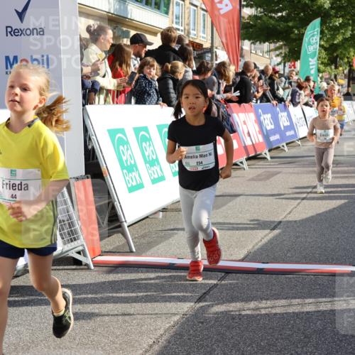 15.09.2024 - PSD Bank Halbmarathon Strokosch-Dieckow http://msf.ph/oto/7078230 15.09.2024 10:31:09 Ziel 38, 44, 141, 145, 147, 207, 214, 234 meine-sportfotos.de