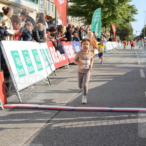 15.09.2024 - PSD Bank Halbmarathon Strokosch-Dieckow http://msf.ph/oto/7078263 15.09.2024 10:31:11 Ziel 38, 44, 104, 141, 145, 147, 207, 214, 234 meine-sportfotos.de