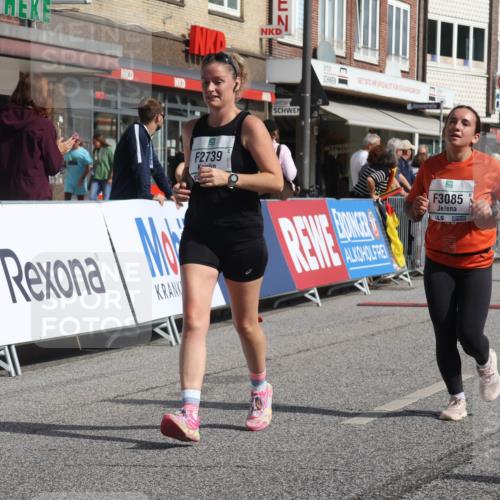 15.09.2024 - PSD Bank Halbmarathon Michael Strokosch http://msf.ph/oto/7078306 15.09.2024 12:20:03 Ziel 2215, 2295, 2739, 3085, 3152, 3440, 3540 meine-sportfotos.de