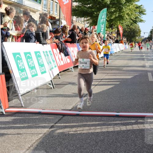 15.09.2024 - PSD Bank Halbmarathon Strokosch-Dieckow http://msf.ph/oto/7078310 15.09.2024 10:31:11 Ziel 38, 44, 104, 141, 145, 147, 207, 214, 234 meine-sportfotos.de