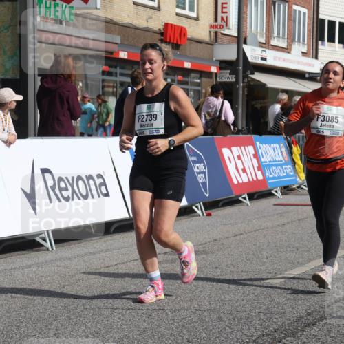 15.09.2024 - PSD Bank Halbmarathon Michael Strokosch http://msf.ph/oto/7078312 15.09.2024 12:20:03 Ziel 2215, 2295, 2739, 3085, 3152, 3440, 3540 meine-sportfotos.de