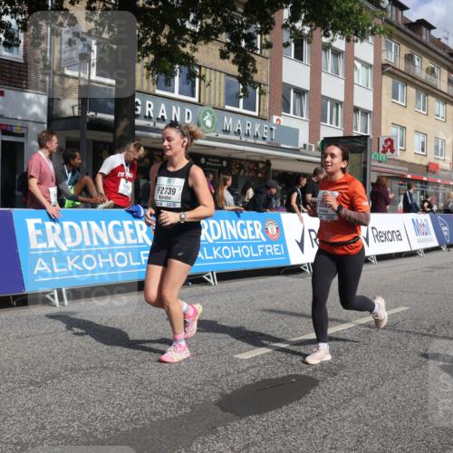15.09.2024 - PSD Bank Halbmarathon Michael Strokosch http://msf.ph/oto/7078342 15.09.2024 12:20:05 Ziel 2215, 2295, 2739, 3085, 3152, 3440, 3540 meine-sportfotos.de