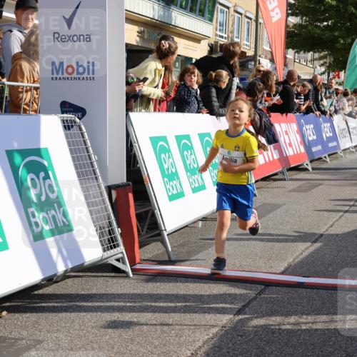 15.09.2024 - PSD Bank Halbmarathon Strokosch-Dieckow http://msf.ph/oto/7078344 15.09.2024 10:31:14 Ziel 24, 25, 38, 44, 104, 105, 141, 145, 207, 234 meine-sportfotos.de