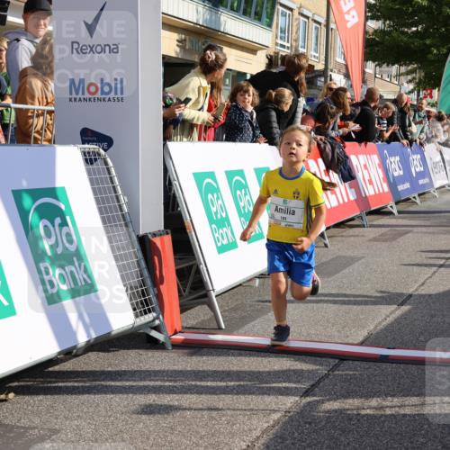 15.09.2024 - PSD Bank Halbmarathon Strokosch-Dieckow http://msf.ph/oto/7078360 15.09.2024 10:31:14 Ziel 24, 25, 38, 44, 104, 105, 141, 145, 207, 234 meine-sportfotos.de