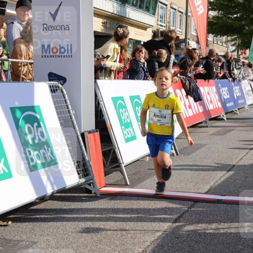 15.09.2024 - PSD Bank Halbmarathon Strokosch-Dieckow http://msf.ph/oto/7078377 15.09.2024 10:31:14 Ziel 24, 25, 38, 44, 104, 105, 141, 145, 207, 234 meine-sportfotos.de