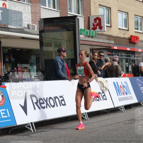 15.09.2024 - PSD Bank Halbmarathon Michael Strokosch http://msf.ph/oto/7078543 15.09.2024 11:13:07 Ziel 517, 547, 844 meine-sportfotos.de