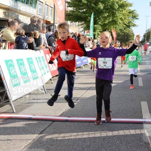 15.09.2024 - PSD Bank Halbmarathon Strokosch-Dieckow http://msf.ph/oto/7078578 15.09.2024 10:31:21 Ziel 24, 25, 38, 104, 105, 126, 141, 207, 277, 287 meine-sportfotos.de