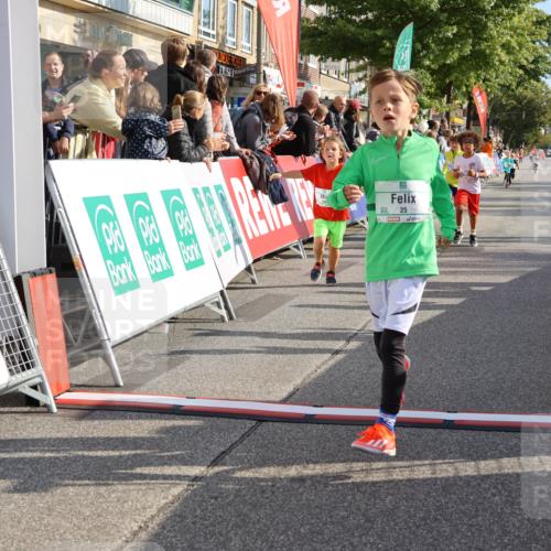 15.09.2024 - PSD Bank Halbmarathon Strokosch-Dieckow http://msf.ph/oto/7078592 15.09.2024 10:31:23 Ziel 24, 25, 104, 105, 126, 141, 207, 277, 287 meine-sportfotos.de