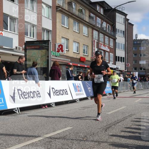 15.09.2024 - PSD Bank Halbmarathon Michael Strokosch http://msf.ph/oto/7078679 15.09.2024 12:20:38 Ziel 2128, 2325, 2957, 3032 meine-sportfotos.de