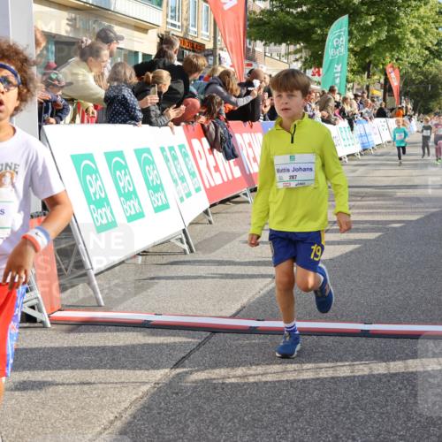 15.09.2024 - PSD Bank Halbmarathon Strokosch-Dieckow http://msf.ph/oto/7078861 15.09.2024 10:31:27 Ziel 24, 25, 39, 72, 104, 105, 126, 160, 163, 191, 277, 287 meine-sportfotos.de