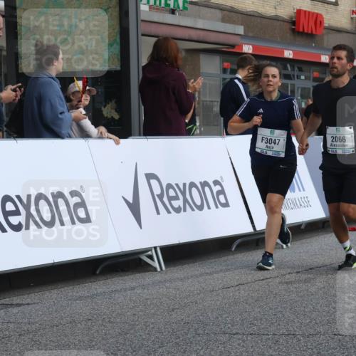 15.09.2024 - PSD Bank Halbmarathon Michael Strokosch http://msf.ph/oto/7079009 15.09.2024 12:21:06 Ziel 2066, 3047, 3285 meine-sportfotos.de