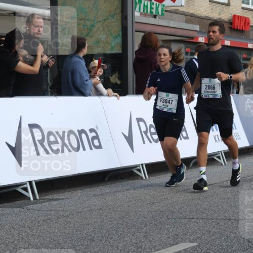 15.09.2024 - PSD Bank Halbmarathon Michael Strokosch http://msf.ph/oto/7079018 15.09.2024 12:21:06 Ziel 2066, 3047, 3285 meine-sportfotos.de