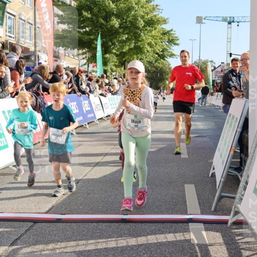 15.09.2024 - PSD Bank Halbmarathon Strokosch-Dieckow http://msf.ph/oto/7079070 15.09.2024 10:31:33 Ziel 25, 39, 72, 78, 126, 158, 160, 163, 191, 277, 287 meine-sportfotos.de