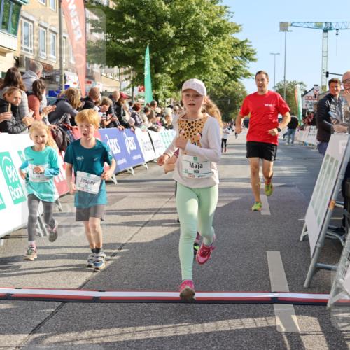 15.09.2024 - PSD Bank Halbmarathon Strokosch-Dieckow http://msf.ph/oto/7079096 15.09.2024 10:31:33 Ziel 25, 39, 72, 78, 126, 158, 160, 163, 191, 277, 287 meine-sportfotos.de