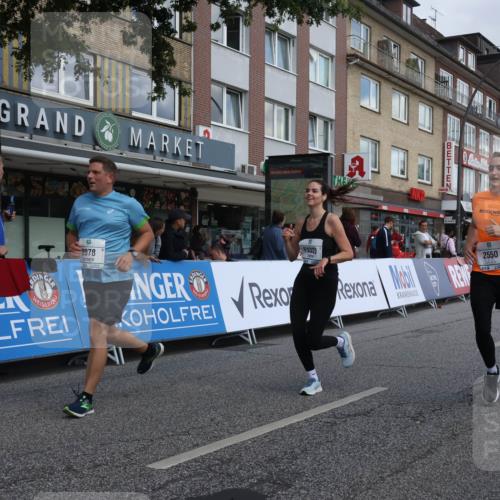 15.09.2024 - PSD Bank Halbmarathon Michael Strokosch http://msf.ph/oto/7079118 15.09.2024 12:23:15 Ziel 2078, 2550, 2933, 3243, 3277, 3320, 3370 meine-sportfotos.de