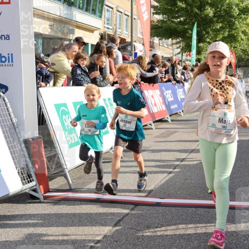 15.09.2024 - PSD Bank Halbmarathon Strokosch-Dieckow http://msf.ph/oto/7079121 15.09.2024 10:31:33 Ziel 25, 39, 72, 78, 126, 158, 160, 163, 191, 277, 287 meine-sportfotos.de