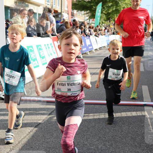 15.09.2024 - PSD Bank Halbmarathon Strokosch-Dieckow http://msf.ph/oto/7079296 15.09.2024 10:31:35 Ziel 39, 72, 78, 126, 158, 160, 163, 191, 277, 287 meine-sportfotos.de