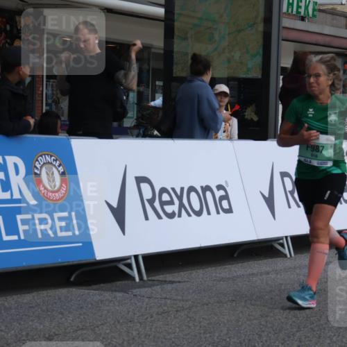 15.09.2024 - PSD Bank Halbmarathon Michael Strokosch http://msf.ph/oto/7079351 15.09.2024 12:23:31 Ziel 987, 2307, 2981, 3002, 3277 meine-sportfotos.de