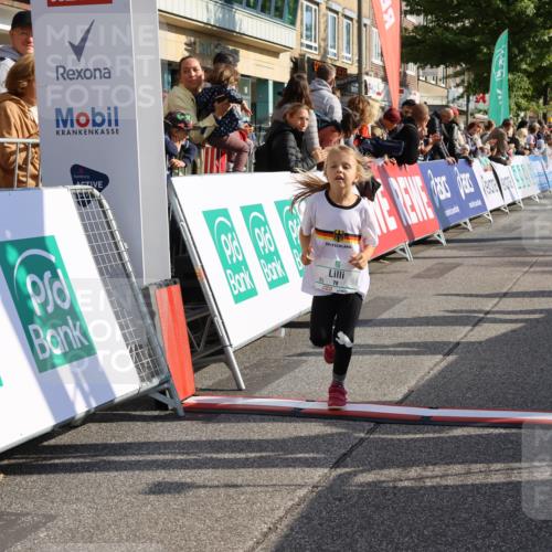 15.09.2024 - PSD Bank Halbmarathon Strokosch-Dieckow http://msf.ph/oto/7079492 15.09.2024 10:31:42 Ziel 39, 72, 78, 158, 160, 163, 191, 201 meine-sportfotos.de