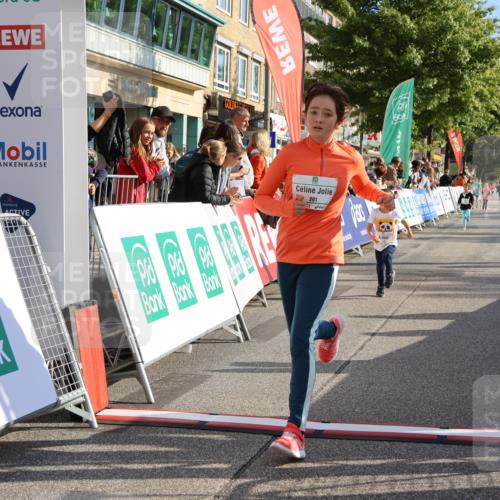 15.09.2024 - PSD Bank Halbmarathon Strokosch-Dieckow http://msf.ph/oto/7079826 15.09.2024 10:31:49 Ziel 78, 158, 175, 201, 250 meine-sportfotos.de