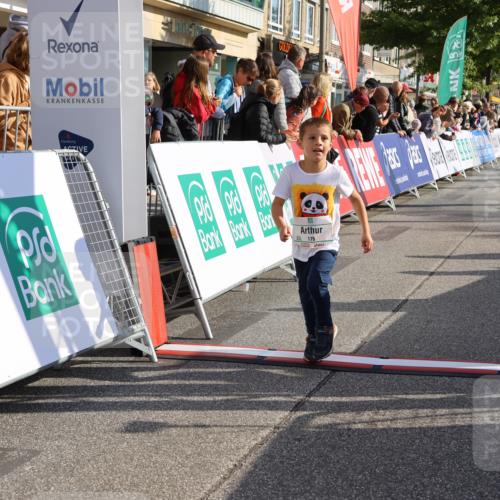 15.09.2024 - PSD Bank Halbmarathon Strokosch-Dieckow http://msf.ph/oto/7079919 15.09.2024 10:31:52 Ziel 78, 175, 201, 250 meine-sportfotos.de