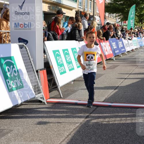 15.09.2024 - PSD Bank Halbmarathon Strokosch-Dieckow http://msf.ph/oto/7079953 15.09.2024 10:31:52 Ziel 78, 175, 201, 250 meine-sportfotos.de