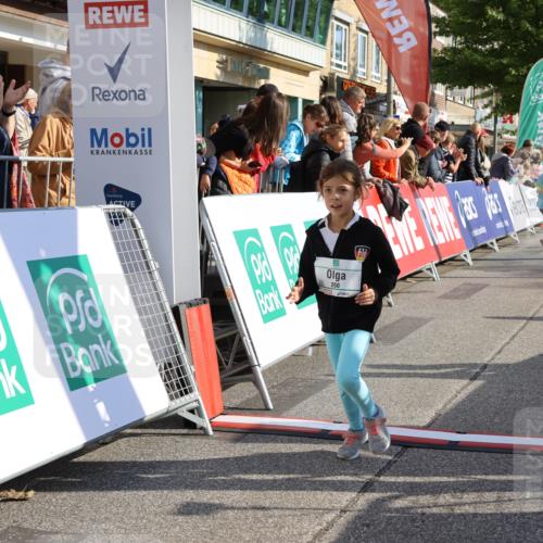15.09.2024 - PSD Bank Halbmarathon Strokosch-Dieckow http://msf.ph/oto/7080051 15.09.2024 10:31:58 Ziel 175, 201, 223, 250 meine-sportfotos.de