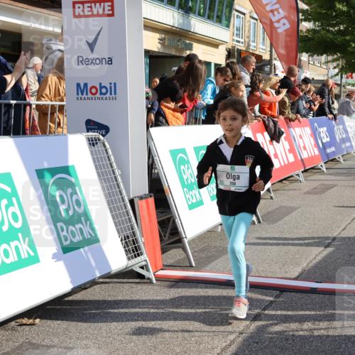 15.09.2024 - PSD Bank Halbmarathon Strokosch-Dieckow http://msf.ph/oto/7080079 15.09.2024 10:31:58 Ziel 175, 201, 223, 250 meine-sportfotos.de