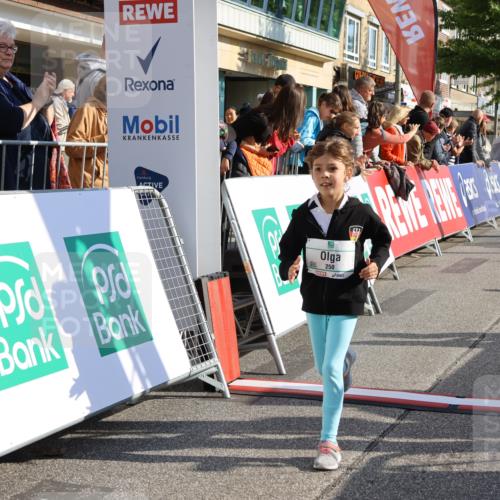 15.09.2024 - PSD Bank Halbmarathon Strokosch-Dieckow http://msf.ph/oto/7080109 15.09.2024 10:31:58 Ziel 175, 201, 223, 250 meine-sportfotos.de