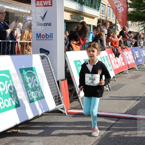 15.09.2024 - PSD Bank Halbmarathon Strokosch-Dieckow http://msf.ph/oto/7080143 15.09.2024 10:31:58 Ziel 175, 201, 223, 250 meine-sportfotos.de