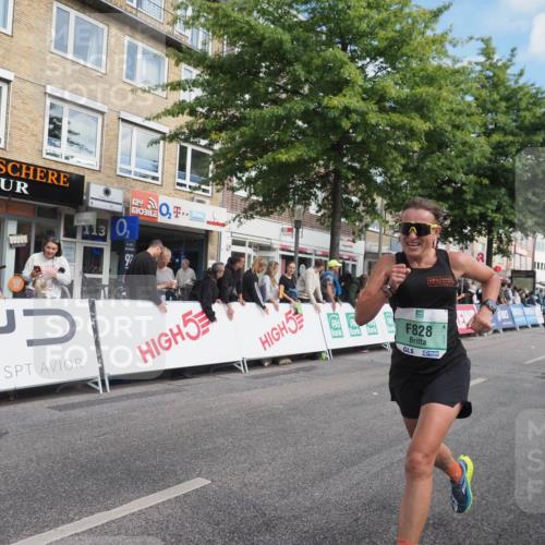 15.09.2024 - PSD Bank Halbmarathon Miley Keyser http://msf.ph/oto/7080157 15.09.2024 11:38:40 Ziel 828, 935, 1094, 1142, 1174, 1175, 1189, 1371, 1461, 2485, 2660, 2724 meine-sportfotos.de