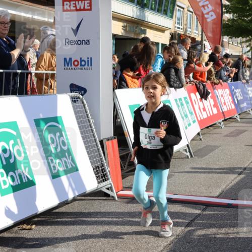15.09.2024 - PSD Bank Halbmarathon Strokosch-Dieckow http://msf.ph/oto/7080180 15.09.2024 10:31:58 Ziel 175, 201, 223, 250 meine-sportfotos.de