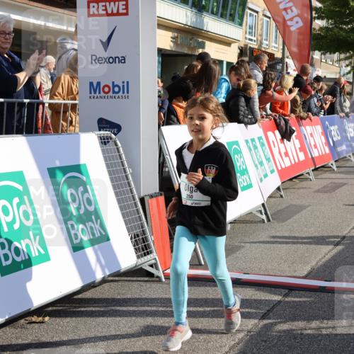 15.09.2024 - PSD Bank Halbmarathon Strokosch-Dieckow http://msf.ph/oto/7080212 15.09.2024 10:31:58 Ziel 175, 201, 223, 250 meine-sportfotos.de