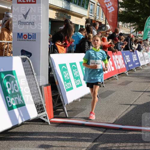 15.09.2024 - PSD Bank Halbmarathon Strokosch-Dieckow http://msf.ph/oto/7080271 15.09.2024 10:32:02 Ziel 175, 202, 223, 250, 276, 299 meine-sportfotos.de