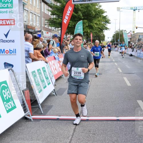 15.09.2024 - PSD Bank Halbmarathon Strokosch-Dieckow http://msf.ph/oto/7080407 15.09.2024 12:25:42 Ziel 1841, 2239, 2267, 2386, 2442 meine-sportfotos.de