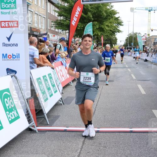 15.09.2024 - PSD Bank Halbmarathon Strokosch-Dieckow http://msf.ph/oto/7080437 15.09.2024 12:25:42 Ziel 1841, 2239, 2267, 2386, 2442 meine-sportfotos.de