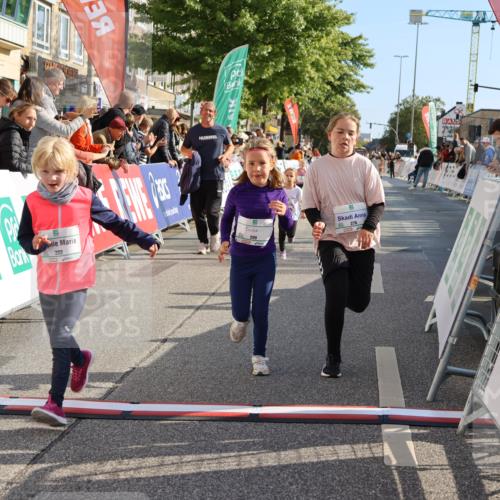 15.09.2024 - PSD Bank Halbmarathon Strokosch-Dieckow http://msf.ph/oto/7080466 15.09.2024 10:32:08 Ziel 11, 56, 57, 151, 202, 223, 250, 267, 276, 299 meine-sportfotos.de