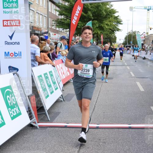 15.09.2024 - PSD Bank Halbmarathon Strokosch-Dieckow http://msf.ph/oto/7080495 15.09.2024 12:25:43 Ziel 1841, 2239, 2267, 2386, 2442 meine-sportfotos.de