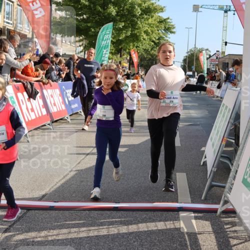 15.09.2024 - PSD Bank Halbmarathon Strokosch-Dieckow http://msf.ph/oto/7080556 15.09.2024 10:32:09 Ziel 11, 56, 57, 151, 202, 223, 250, 267, 276, 299 meine-sportfotos.de