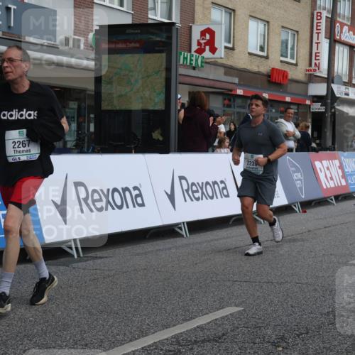 15.09.2024 - PSD Bank Halbmarathon Michael Strokosch http://msf.ph/oto/7080568 15.09.2024 12:25:15 Ziel 2239, 2267, 3298 meine-sportfotos.de