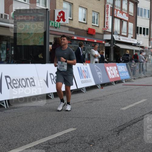 15.09.2024 - PSD Bank Halbmarathon Michael Strokosch http://msf.ph/oto/7080578 15.09.2024 12:25:15 Ziel 2239, 2267, 3298 meine-sportfotos.de