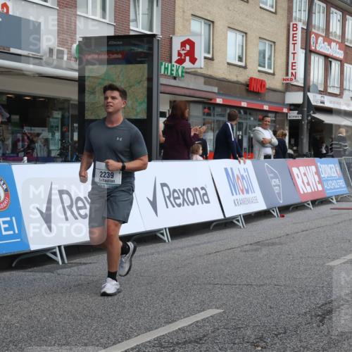 15.09.2024 - PSD Bank Halbmarathon Michael Strokosch http://msf.ph/oto/7080588 15.09.2024 12:25:16 Ziel 2239, 2267, 3298 meine-sportfotos.de